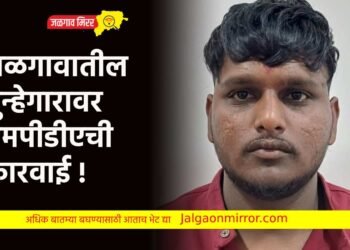 जळगावातील गुन्हेगारावर एमपीडीएची कारवाई !
