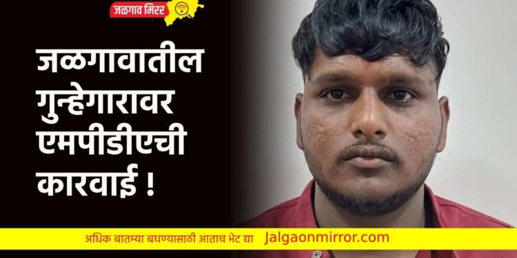 जळगावातील गुन्हेगारावर एमपीडीएची कारवाई !