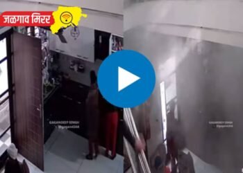 स्वयंपाकगृहात अचानक झाला कुकरचा स्फोट : थरारक व्हिडीओ व्हायरल !