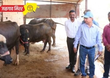 केंद्रीय पथकाकडून जिल्ह्यातील दुष्काळाची पाहणी