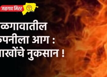 जळगावातील कंपनीला आग : लाखोंचे नुकसान !