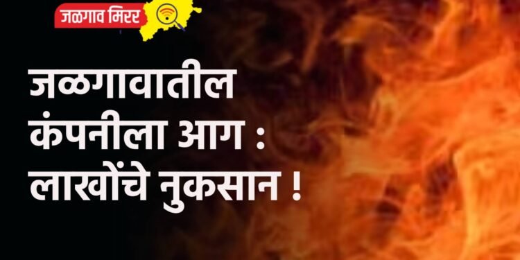 जळगावातील कंपनीला आग : लाखोंचे नुकसान !