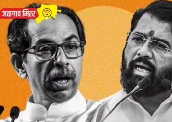 मुख्यमंत्र्यांनी ठाकरेंपुढे शरणागती पत्कारावी : खासदारांनी दिला सल्ला !