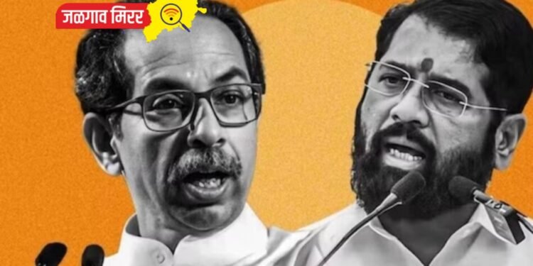 मुख्यमंत्र्यांनी ठाकरेंपुढे शरणागती पत्कारावी : खासदारांनी दिला सल्ला !