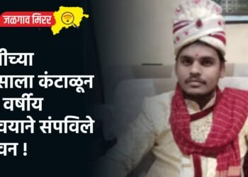 पत्नीच्या त्रासाला कंटाळून ३० वर्षीय जावयाने संपविले जीवन !
