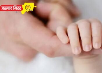 मन सुन्न करणारी घटना : आईच्या कुशीतून ८ महिन्याची मुलगी पळविली !