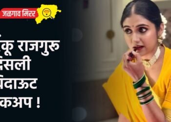 बसमध्ये प्रवाशी व महिला वाहकमध्ये राडा !