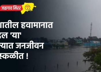 देशातील हवामानात बदल ‘या’ राज्यात जनजीवन विस्कळीत !