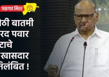 मोठी बातमी : शरद पवार गटाचे २ खासदार निलंबित !