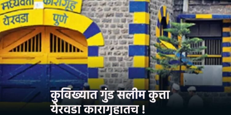 कुविख्यात गुंड सलीम कुत्ता येरवडा कारागृहातच !