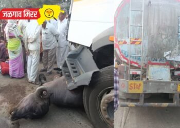 जळगाव : भरधाव ट्रकच्या धडकेत म्हशीसह एकाचा दुर्देवी मृत्यू !