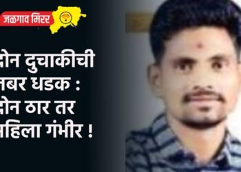 दोन दुचाकीची जबर धडक : दोन ठार तर महिला गंभीर !