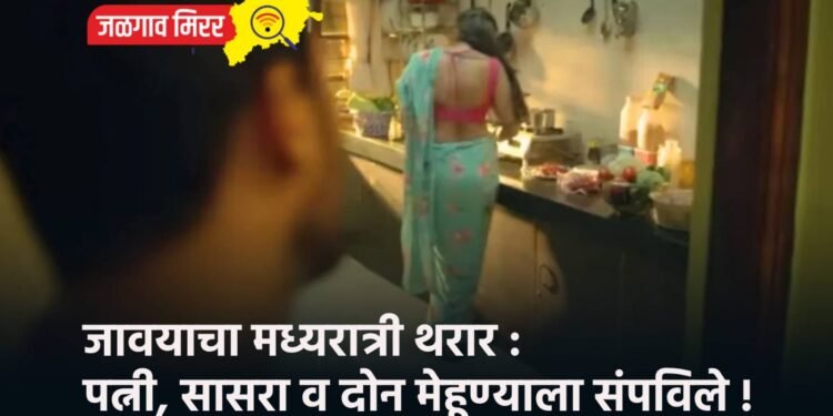 अमळनेरात कुत्र्यांचा धुमाकूळ : तब्बल १३ जणांना घेतला चावा !