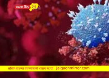 देशाचे टेन्शन वाढलं : कोरोनाच्या नव्या व्हायरसचे रुग्ण आढळले !