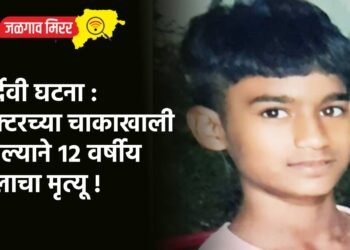 दुर्दैवी घटना : ट्रॅक्टरच्या चाकाखाली आल्याने १२ वर्षीय मुलाचा मृत्यू !