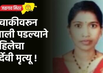 दुचाकीवरून खाली पडल्याने महिलेचा दुर्देवी मृत्यू !