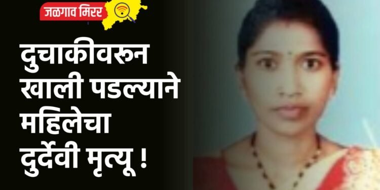 दुचाकीवरून खाली पडल्याने महिलेचा दुर्देवी मृत्यू !