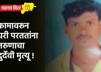 कामावरून घरी परततांना तरुणाचा दुर्देवी मृत्यू !