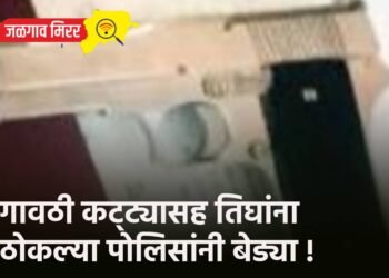 गावठी कट्ट्यासह तिघांना ठोकल्या पोलिसांनी बेड्या !