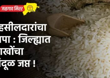 तहसीलदारांचा छापा : जिल्ह्यात लाखोंचा तांदूळ जप्त !