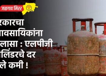 सरकारचा व्यावसायिकांना दिलासा : एलपीजी सिलिंडरचे दर केले कमी !