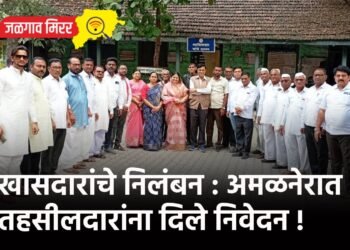 खासदारांचे निलंबन : अमळनेरात तहसीलदारांना दिले निवेदन !