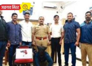 हद्दपार आरोपीकडून पिस्तुल जप्त !