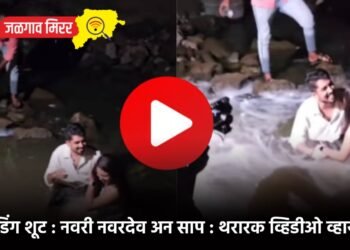 प्री-वेडिंग शूट : नवरी नवरदेव अन साप : थरारक व्हिडीओ व्हायरल !