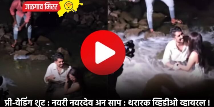 प्री-वेडिंग शूट : नवरी नवरदेव अन साप : थरारक व्हिडीओ व्हायरल !