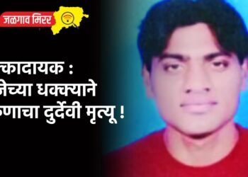 धक्कादायक : विजेच्या धक्क्याने तरुणाचा दुर्देवी मृत्यू !