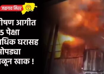 भीषण आगीत ३५ पेक्षा अधिक घरासह झोपड्या जळून खाक !