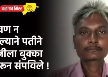जेवण न दिल्याने पतीने पत्नीला बुक्का मारून संपविले !