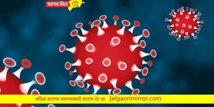 ब्रेकिंग : जिल्ह्यात आढळला कोरोनाचा पहिला रुग्ण !