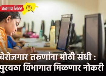 बेरोजगार तरुणांना मोठी संधी : पुरवठा विभागात मिळणार नोकरी !