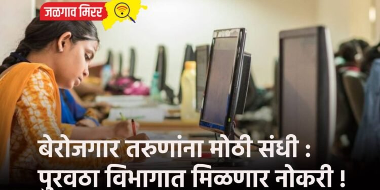 बेरोजगार तरुणांना मोठी संधी : पुरवठा विभागात मिळणार नोकरी !