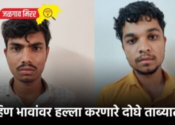 बहिण भावांवर हल्ला करणारे दोघे ताब्यात !
