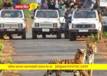 जळगाव ग्रामीणमधील तरुणांचा भाजपात प्रवेश !