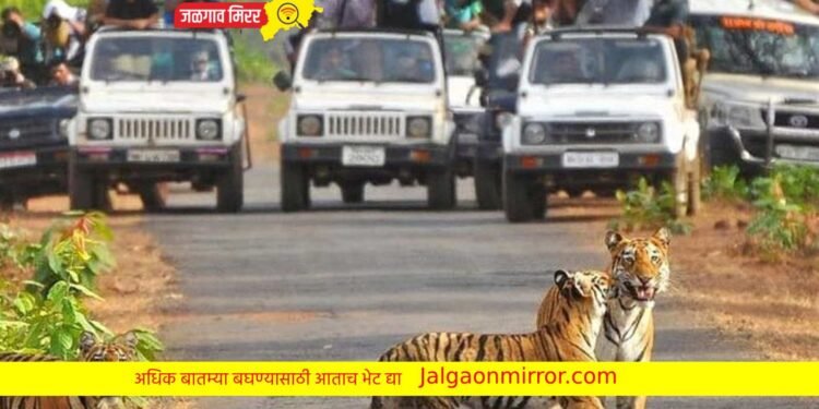 जळगाव ग्रामीणमधील तरुणांचा भाजपात प्रवेश !