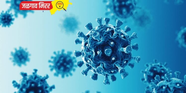 वैद्यकीय यंत्रणा अलर्ट : चोपड्यात कोरोनाचे दोन रुग्ण !