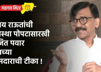 संजय राऊतांची अवस्था पोपटासारखी ; अजित पवार गटाच्या आमदाराची टीका !