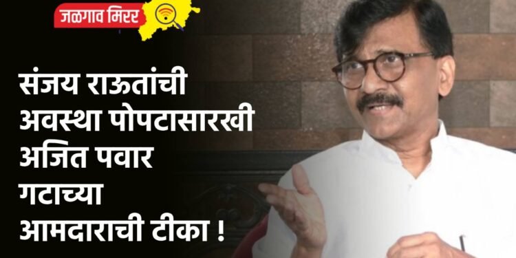 संजय राऊतांची अवस्था पोपटासारखी ; अजित पवार गटाच्या आमदाराची टीका !