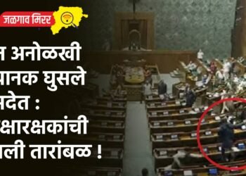 दोन अनोळखी अचानक घुसले संसदेत : सुरक्षारक्षकांची उडाली तारांबळ !