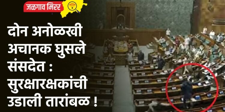 दोन अनोळखी अचानक घुसले संसदेत : सुरक्षारक्षकांची उडाली तारांबळ !