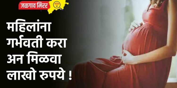 महिलांना गर्भवती करा अन मिळवा लाखो रुपये !
