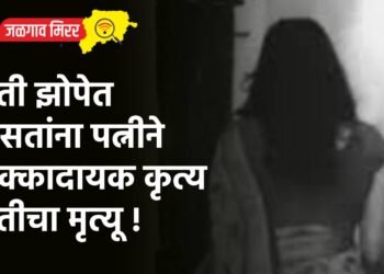 पती झोपेत असतांना पत्नीने धक्कादायक कृत्य : पतीचा मृत्यू !