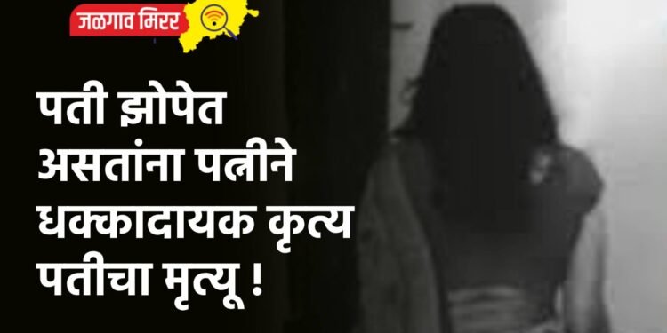 पती झोपेत असतांना पत्नीने धक्कादायक कृत्य : पतीचा मृत्यू !