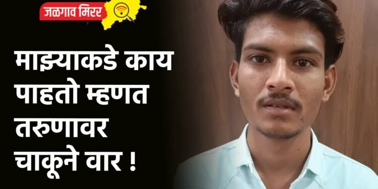 माझ्याकडे काय पाहतो म्हणत तरुणावर चाकूने वार !