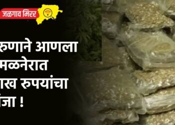 तरुणाने आणला अमळनेरात लाख रुपयांचा गांजा !