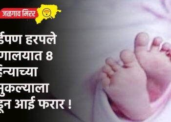 आईपण हरपले : रुग्णालयात ८ महिन्याच्या चिमुकल्याला सोडून आई फरार !