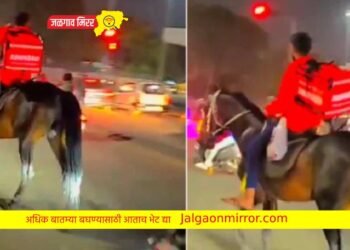 फूड डिलिव्हरी बॉयचा जुगाड : अशी केली व्यवस्था !